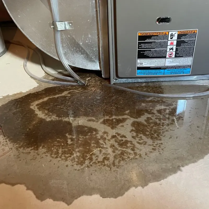 Pipe Burst and Leak Restoration in Sanborn County, SD