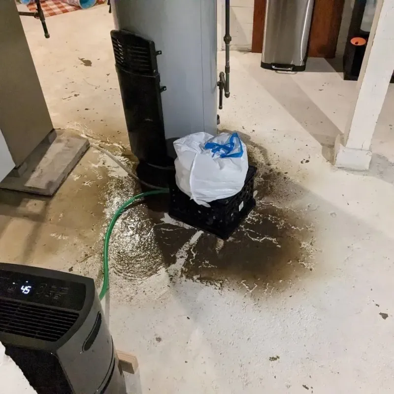 Sewage Backup Cleanup Service in Sanborn County, SD